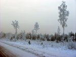 Winter Landscape, Lapland, Finland